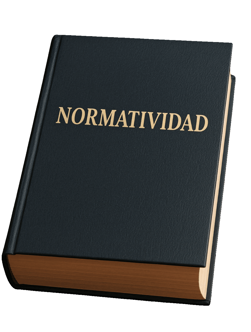 Normatividad